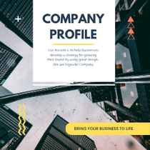 company profile (5)